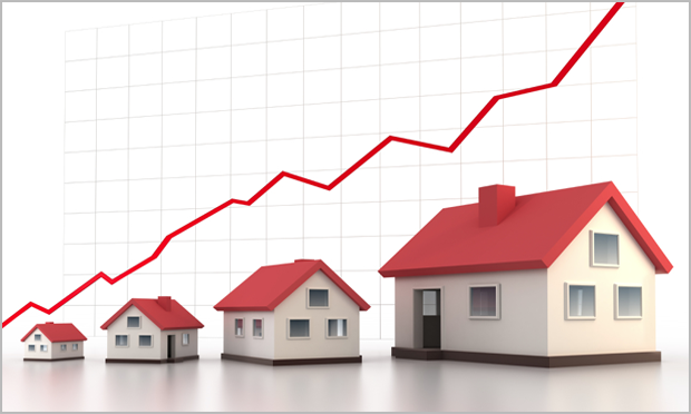 inmobiliaria